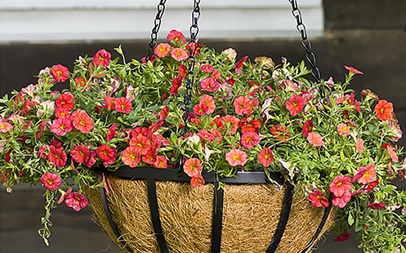 Spring Porch Decor Ideas - The Home Depot