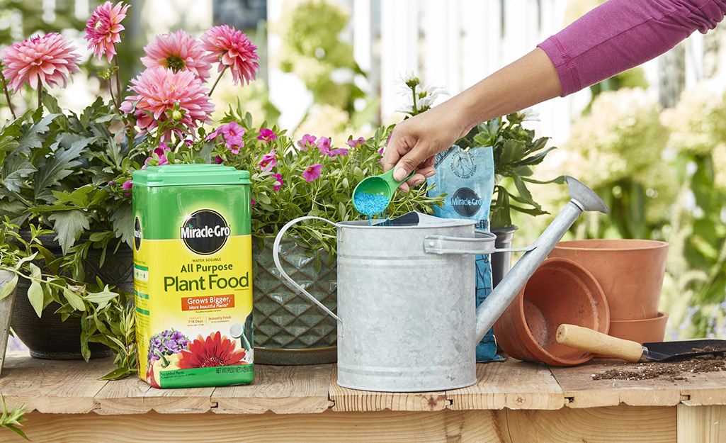 A person mixes plant food in a watering can.