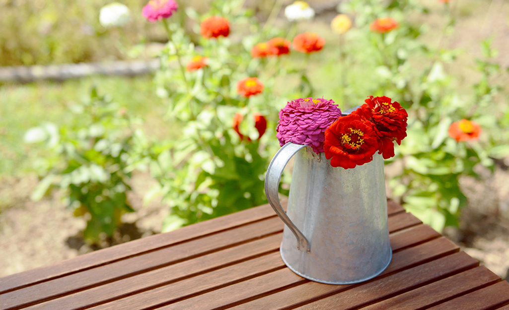 A watering can filled with annuals.