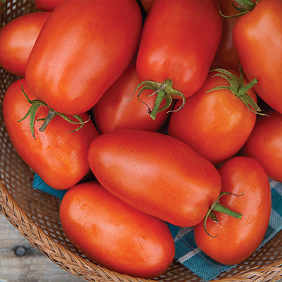 10 of the Most Popular Vegetable Seeds to Sow