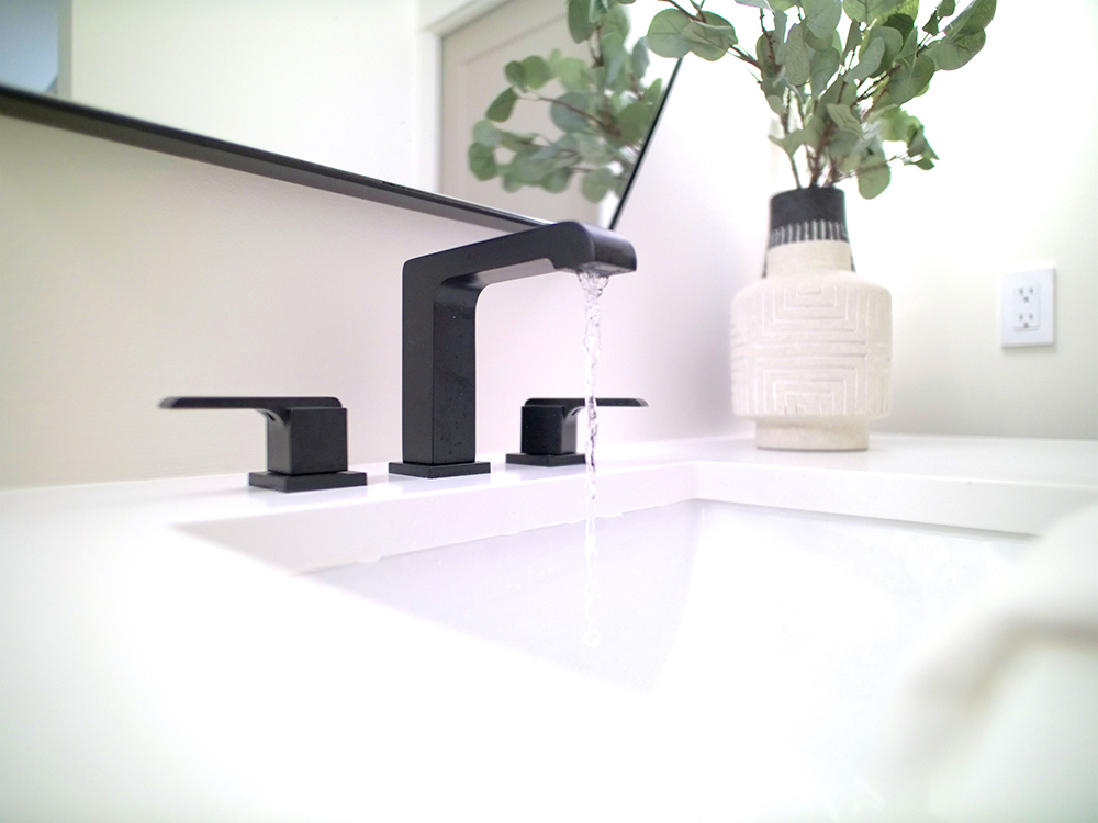 White sink and counter top with a black faucet, mirror and plant.