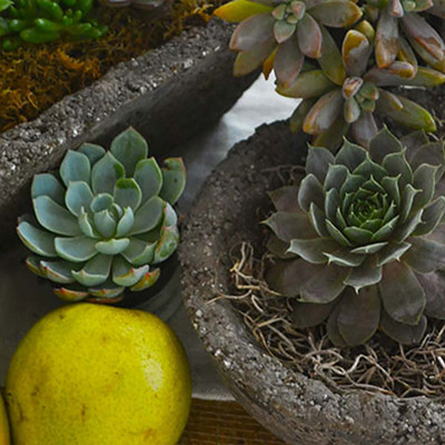 3 Creative Ways to Display Hypertufa in Your Outdoor Space