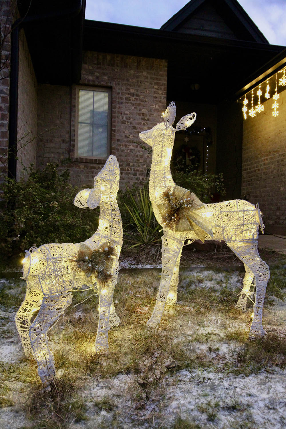 A front yard is decorated with a lighted deer and doe for Christmas.