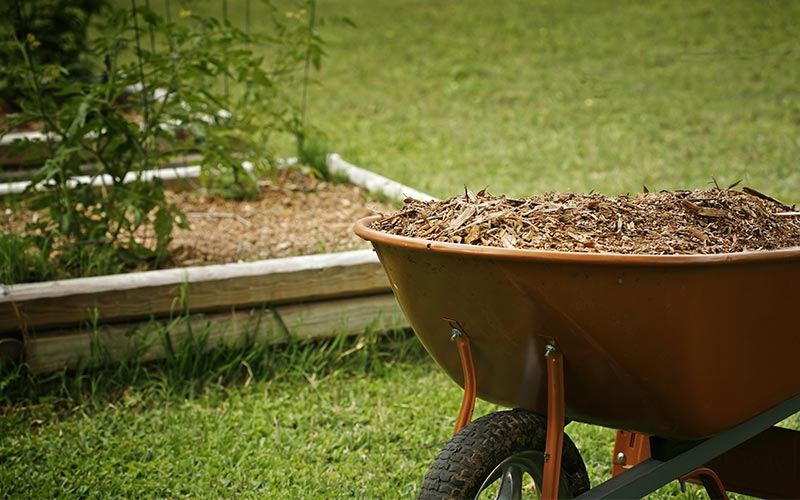 4 of the Best Mulches for South Florida The Home Depot