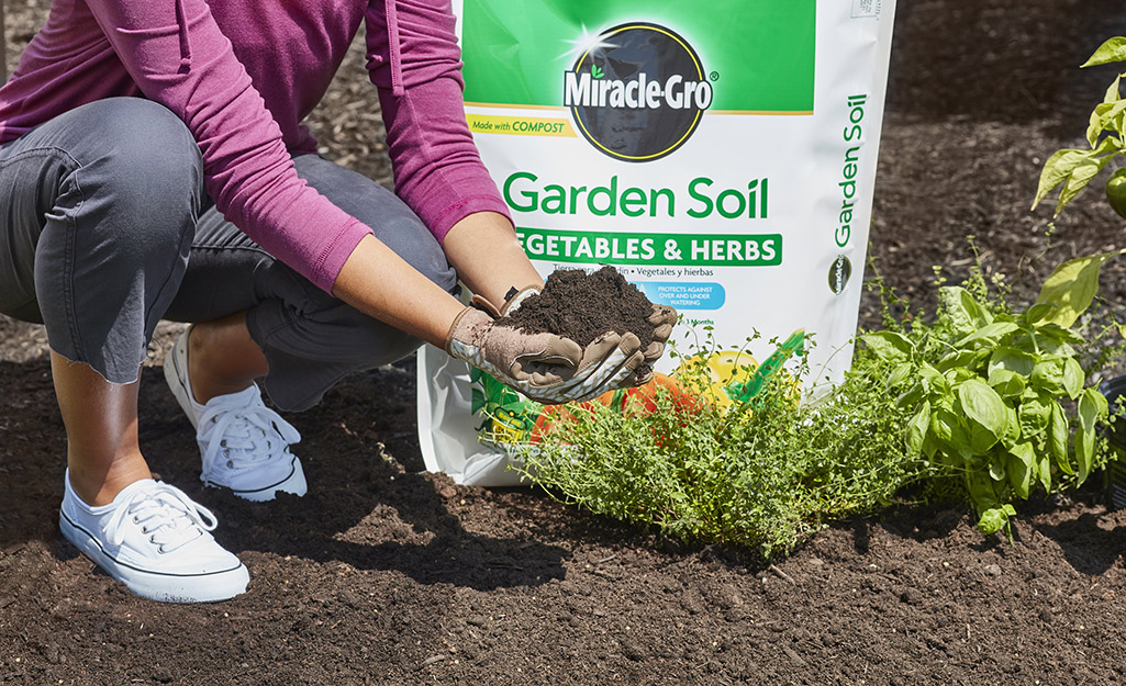 6 Expert Gardening Tips for New Gardeners - The Home Depot