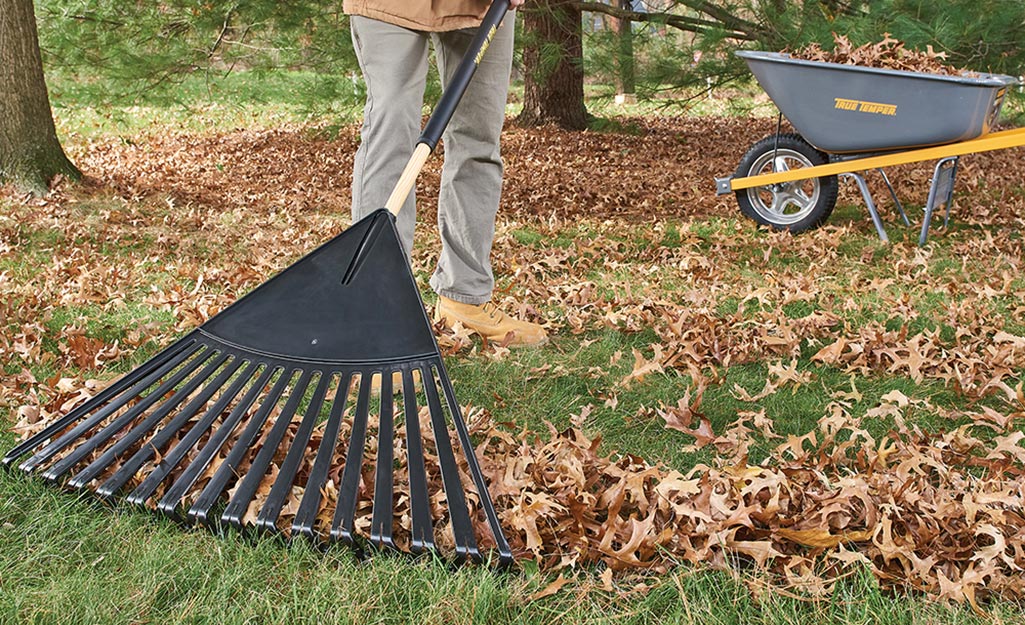 A person raking a yard.
