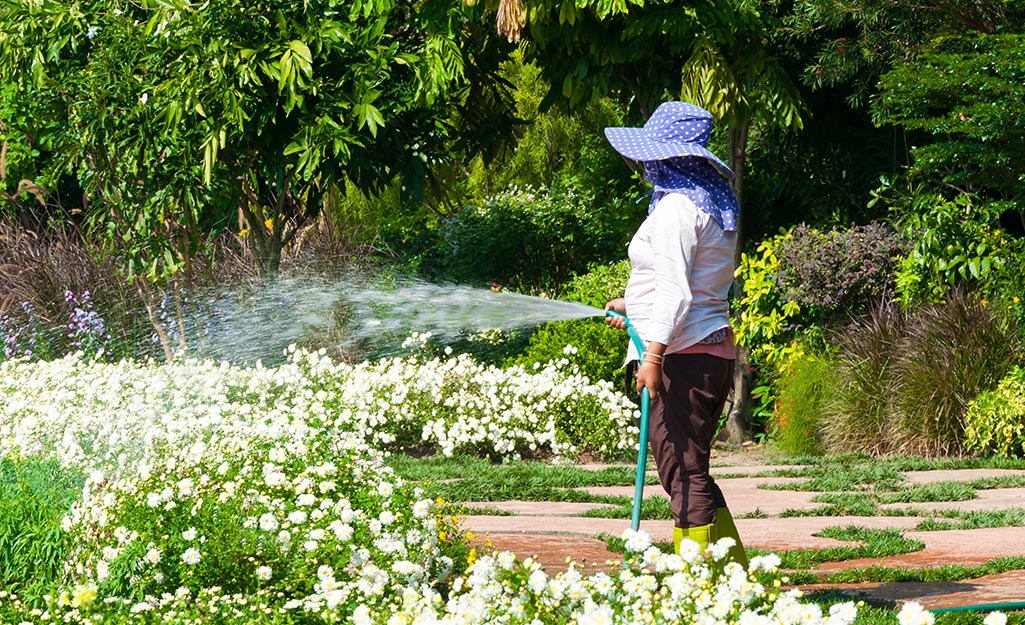 A woman watering flowers in a large garden.