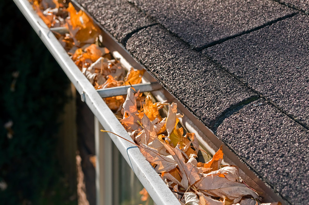A white gutter filled with leaves.