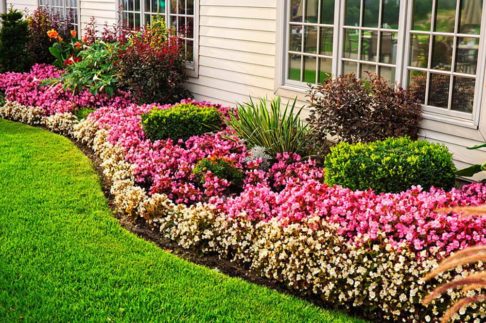 A colorful bed of flowers and a landscaped lawn.