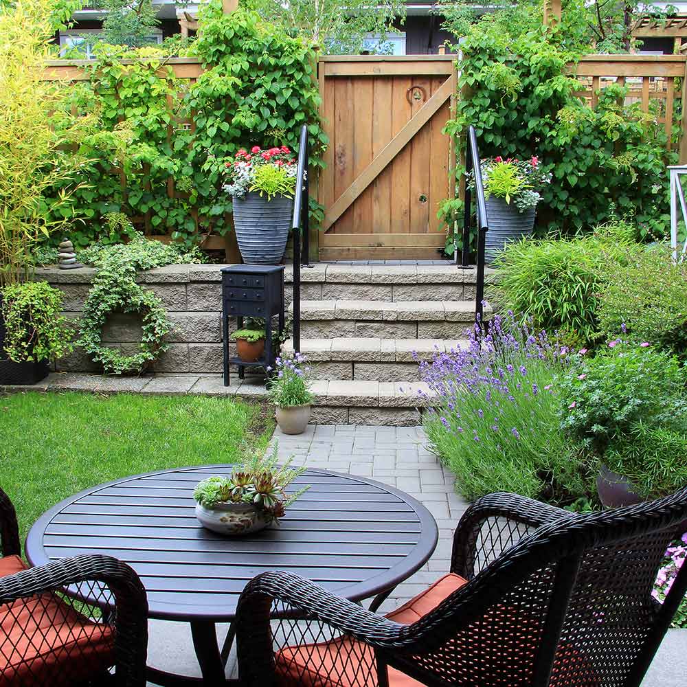 Landscape on a budget ideas