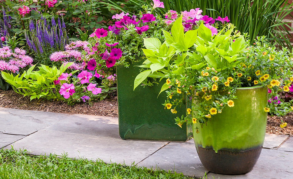 Thriller, Filler and Spiller Plants for Your Container Garden