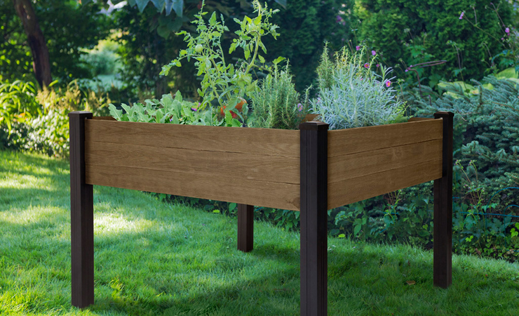 4 Reasons to Love Raised Garden Beds - The Home Depot