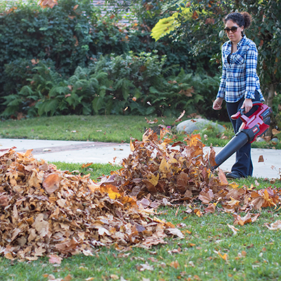 Five Uses For Leaves From Your Lawn