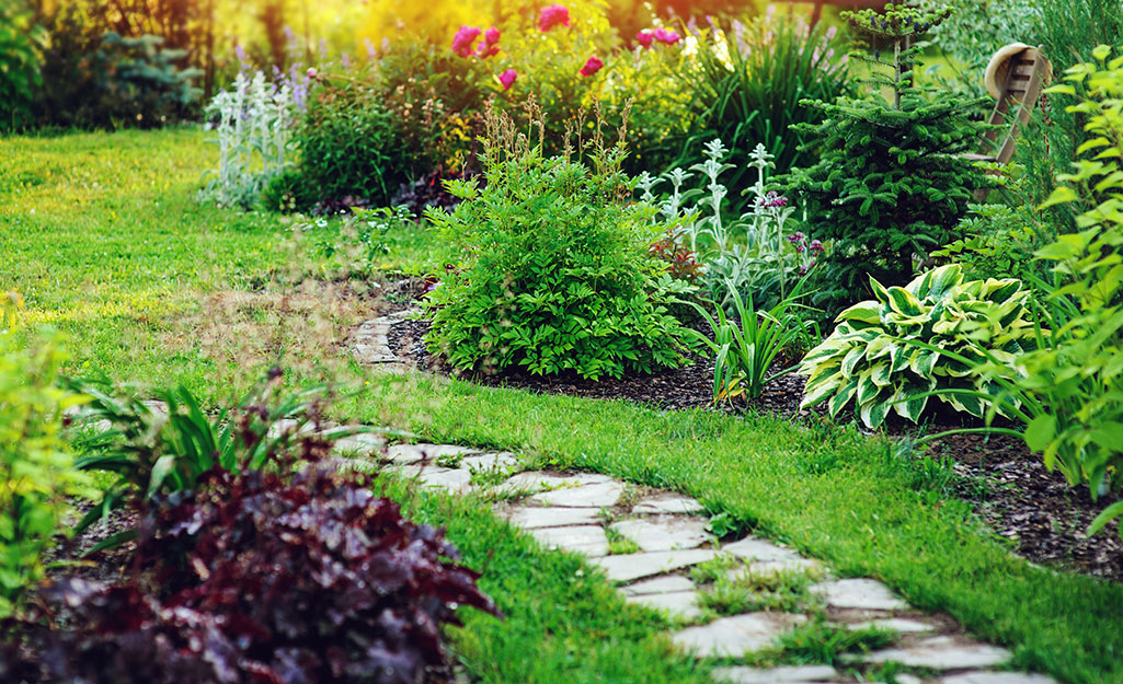 A path through a garden A path through a garden