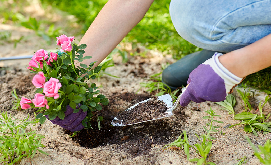 How to Break out of a Gardening Rut this Year - The Home Depot
