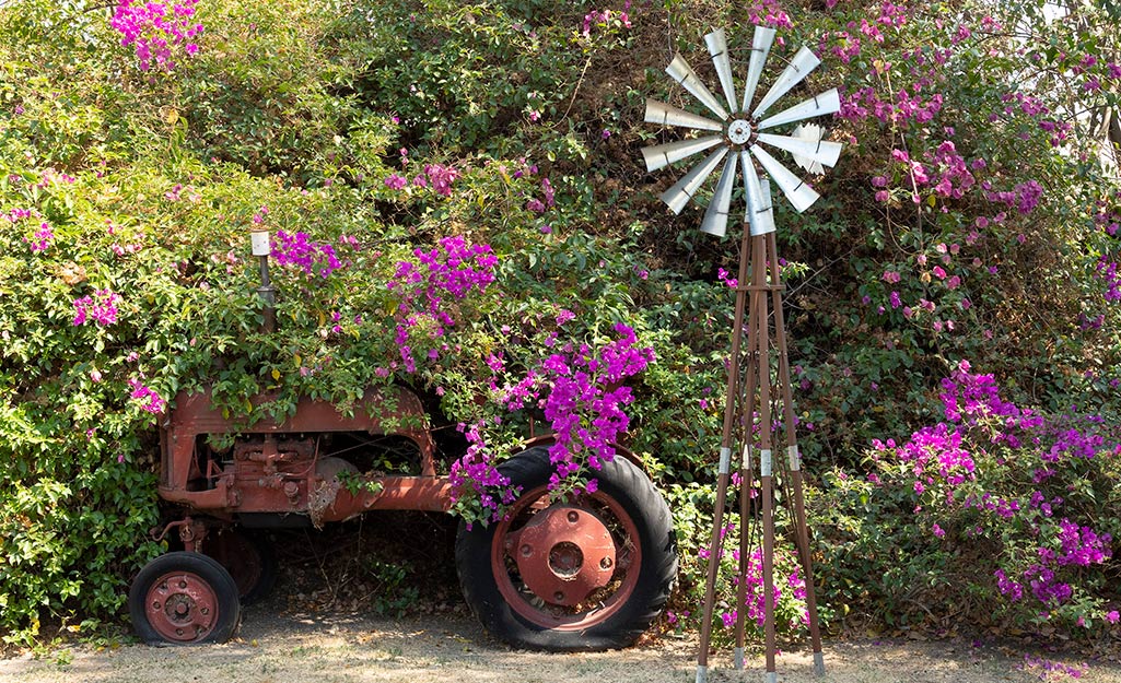 Rusty tractor filled with flowers Rusty tractor filled with flowers