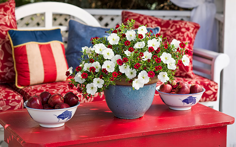 Red, white and blue flowers sit in a blue bowl on an outdoor table.