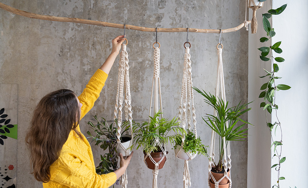 A womanizes a ceiling hanger to add indoor plants in a space.