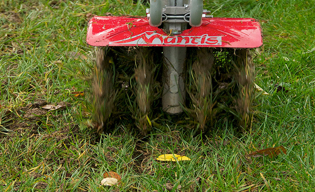 An aerator turning in a lawn. An aerator turning in a lawn.