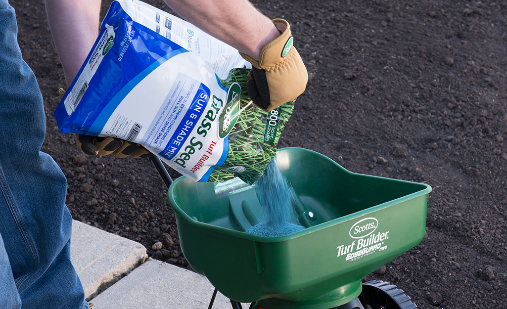 Someone pouring grass seed into a spreader. Someone pouring grass seed into a spreader.