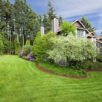 6 Lawn Tasks to Complete Before Spring