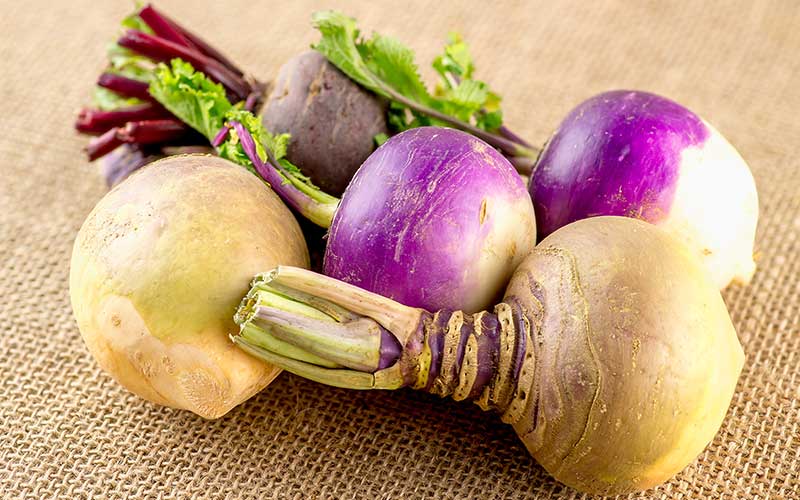 Rutabagas and turnips lay on a piece of burlap.