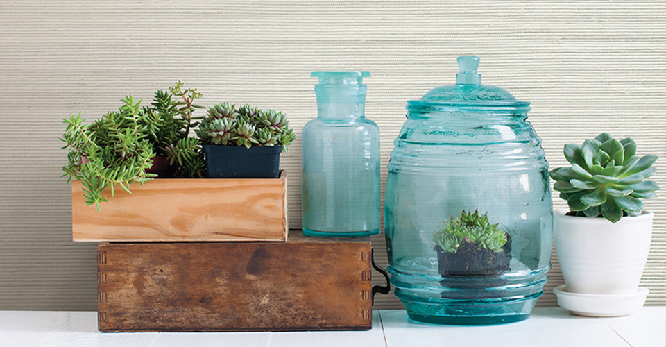 A group of houseplants in wood, ceramic and glass planters.