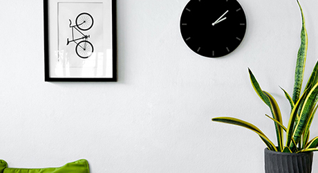 A snake plant next to a wall under a clock and a framed picture.