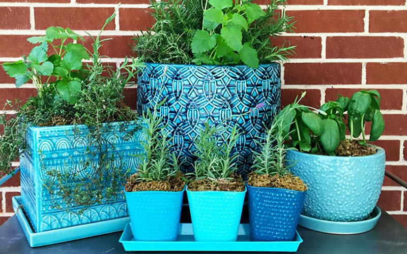 Flowerpots Flowerpots