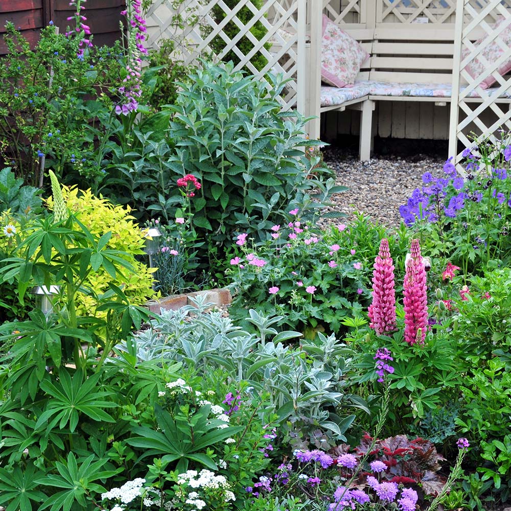 A garden with a variety of different plants and flowers.