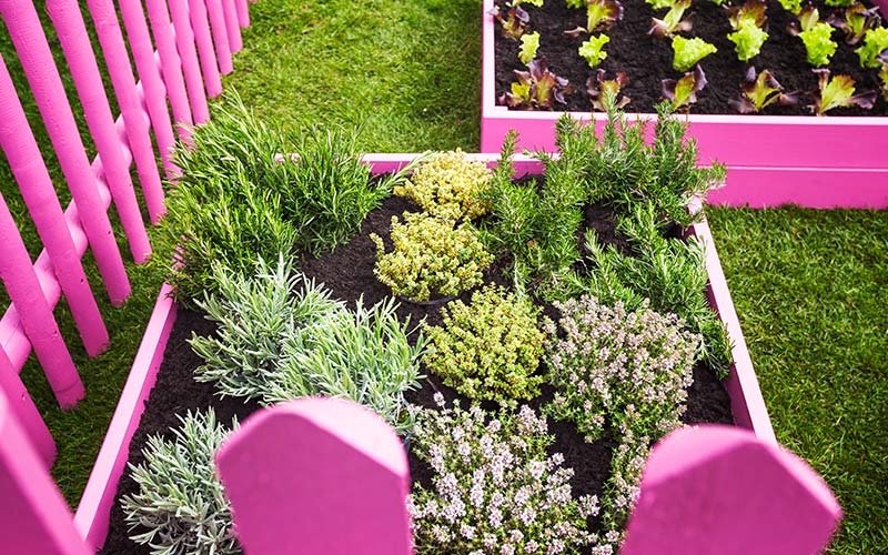 6 Ways to Create a LowMaintenance Garden