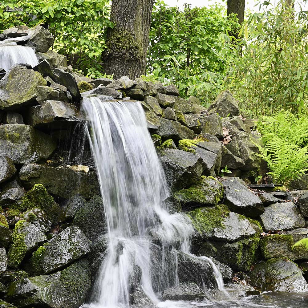 forest river in spring. water flows among the mossy rocks