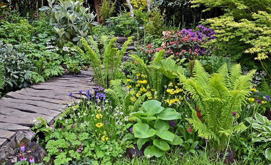 The Rain Garden Is the Smartest Way to Save Water