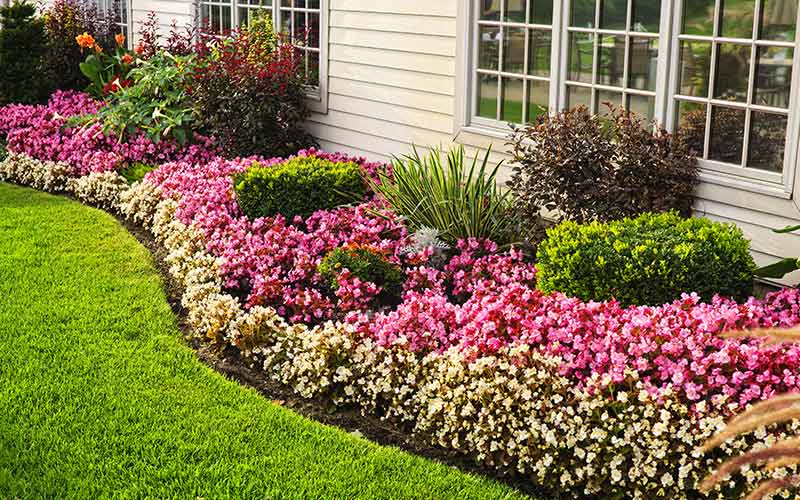 How To Organize Landscaping Borders The Home Depot