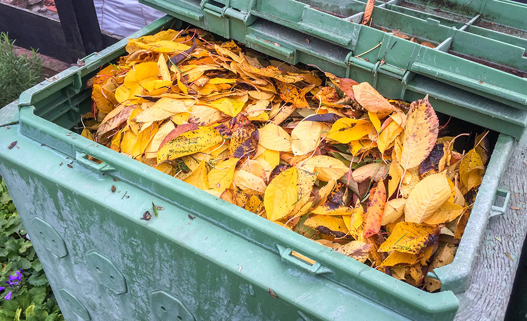 Leaves inside a compost. 