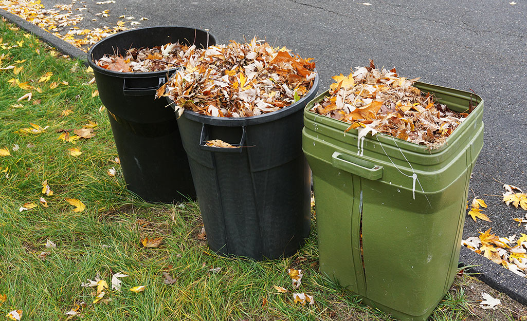 Three recycling cans filled with leaves sit near a curb.