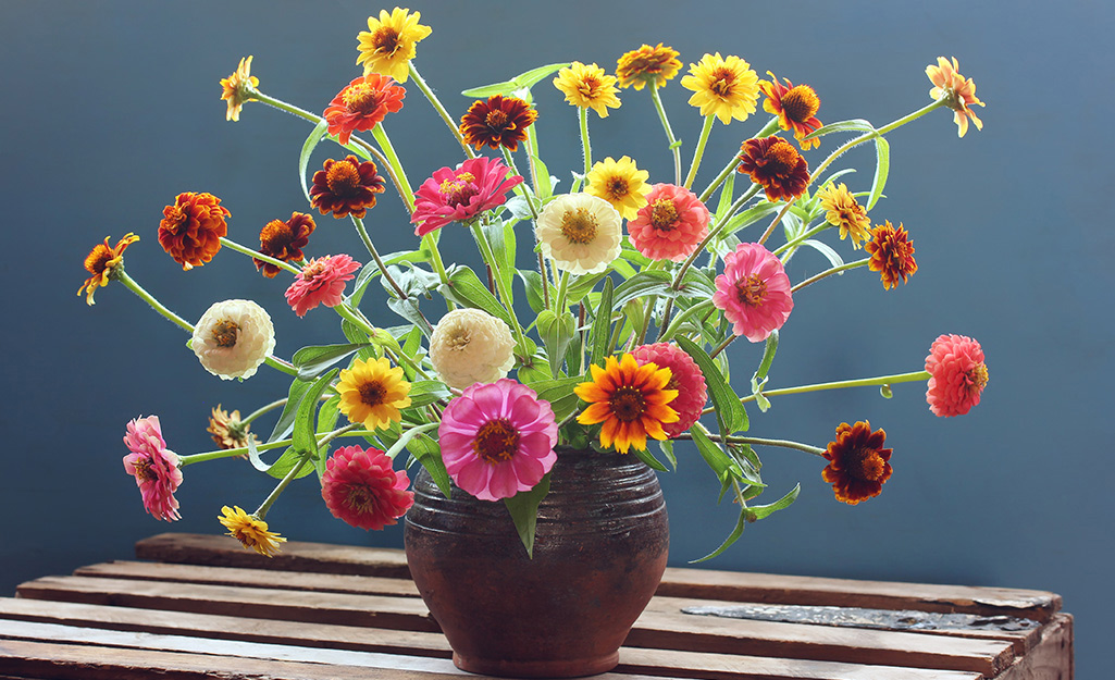 An arrangement of zinnias in white, yellow, pink and orange fills a short rounded clay pot.