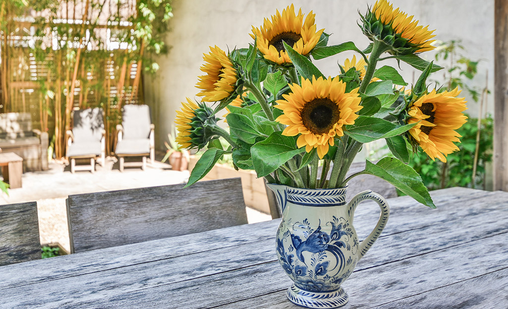 An arrangement of sunflowers stands tall in a blue-and-white pitcher that sits on an outdoor table on a patio.