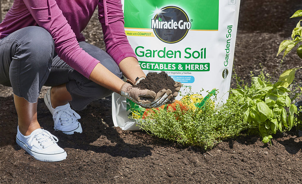 Gardener cups soil in two hands in a new garden.