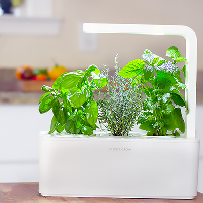 Create a DIY Indoor Grow Light System