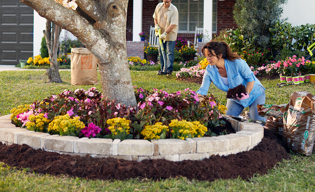 A flower bed with mulch