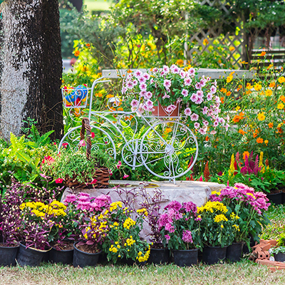 7 Ways to Enjoy Your Flower Garden 