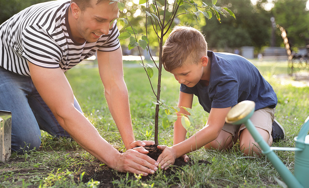 A father and son planting a tree.