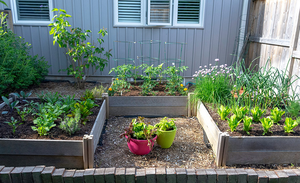 Several container gardens.