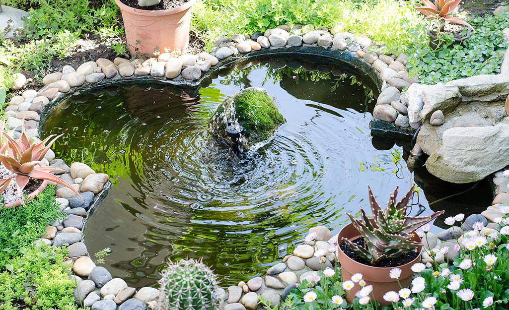 An image of a pond surrounded by stones in a garden.