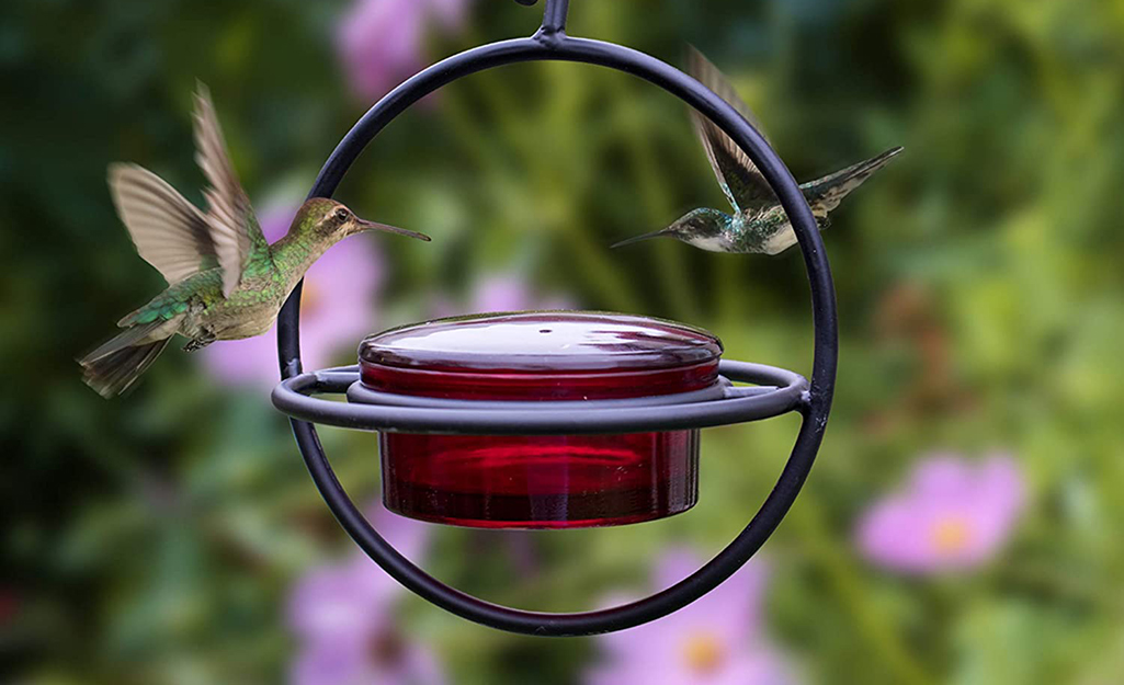 A bird feeder with two hummingbirds.