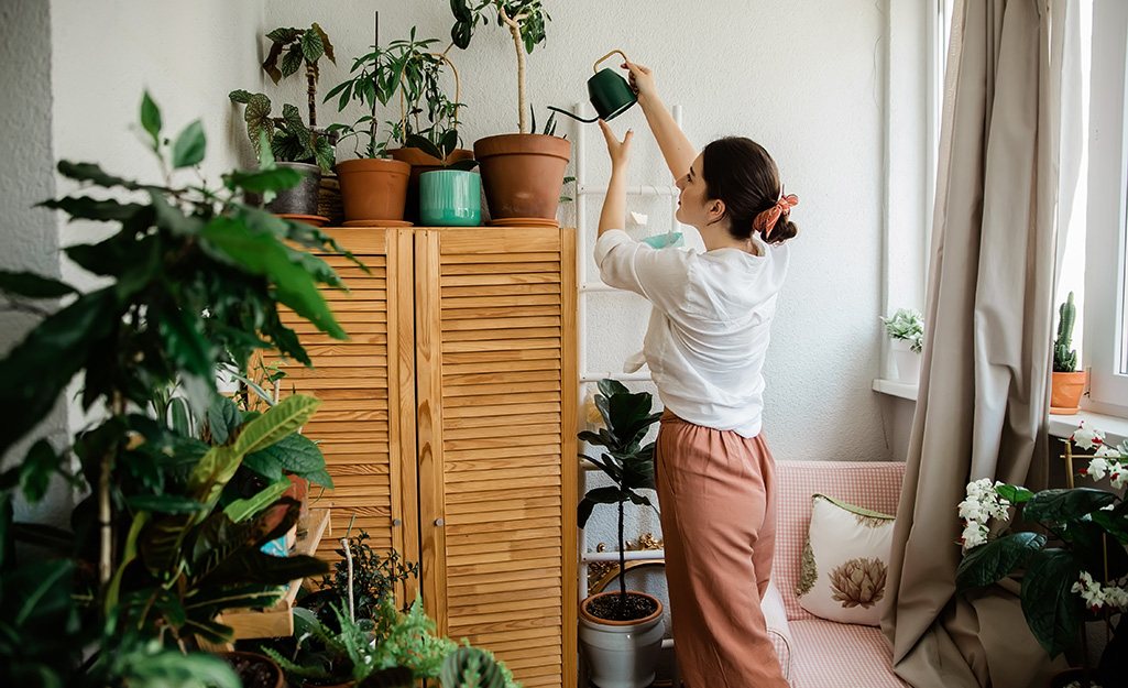A person watering plants inside their home.