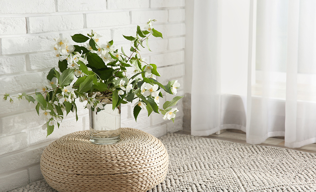 A large Jasmine vine growing in a basket.
