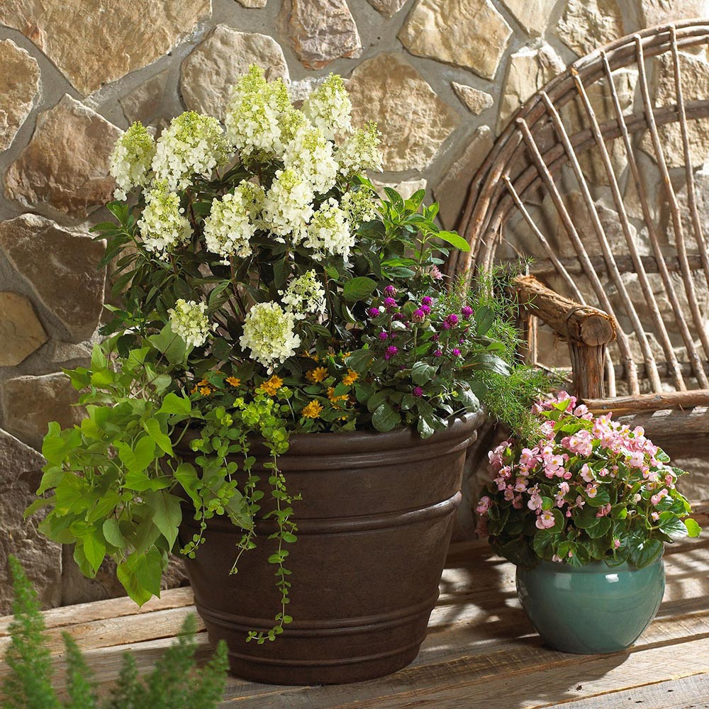 Planters filled with flowers and overflowing greenery.