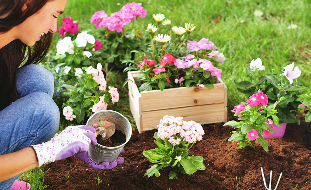 Mom planting new flower plants in a garden.